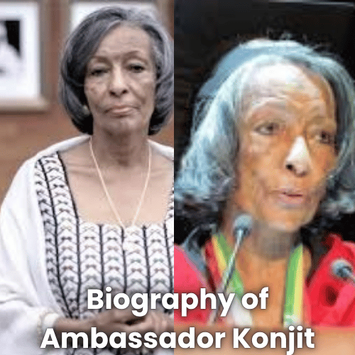 Biography of Ambassador Konjit Sinegiorgis: Early Life, Career, Achievements & Legacy